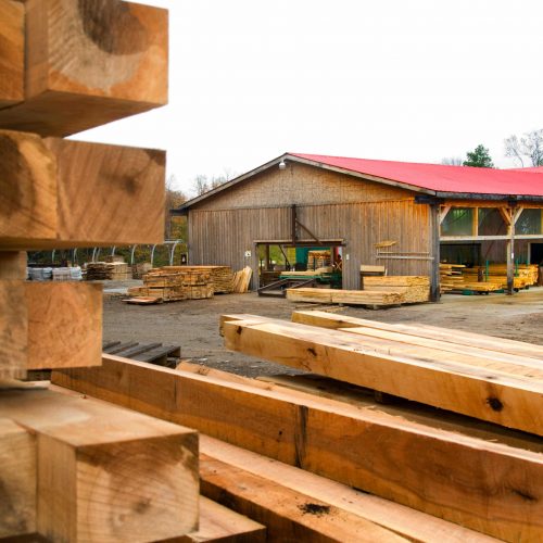 Haliburton Forest Logging