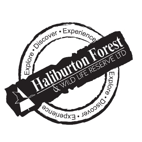 Haliburton Forest Stamp