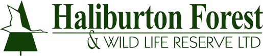 Haliburton Forest & Wild Life Reserve Ltd