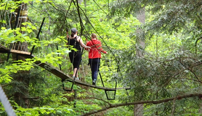 Haliburton Forest Canopy Tour hike