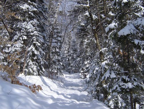 Snowmobile and ATV Trails