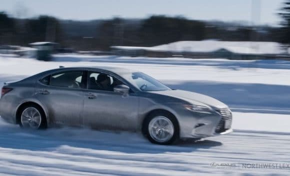 Northwest Lexus Team at The Forest