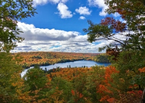 1 - Thanksgiving View - by Cathy Brown