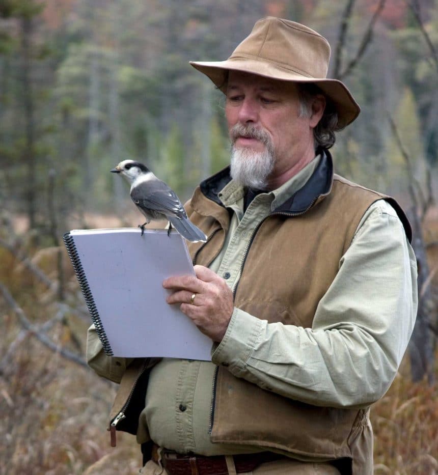 Birds of the Season at the Forest