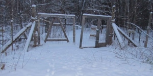 Gate trap image