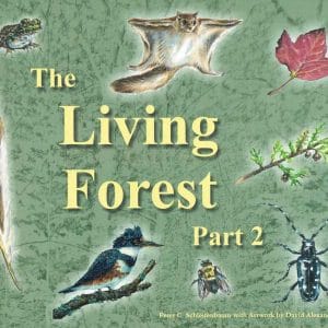 The Living Forest, Part Two