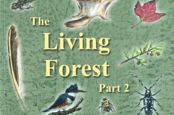 The Living Forest, Part Two