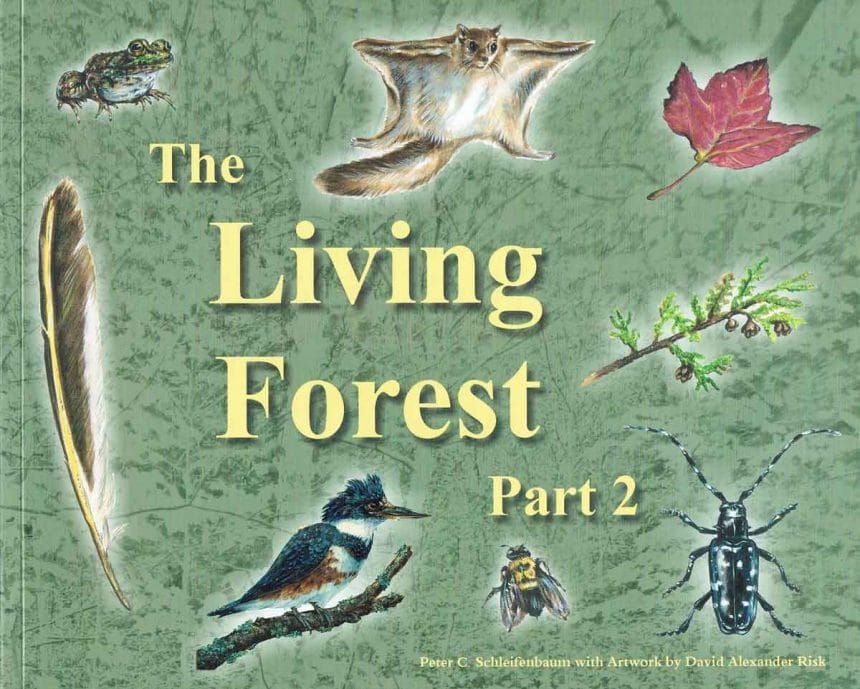 The Living Forest, Part Two
