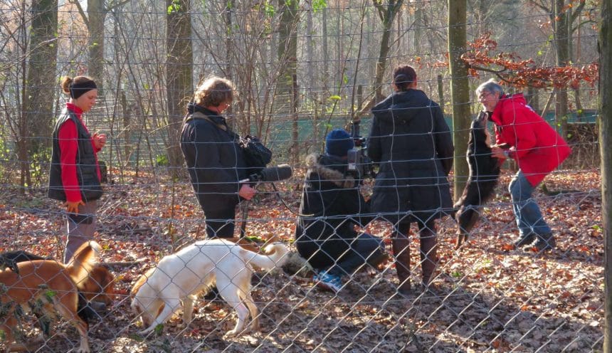 Wolf Science Centre Vienna Visit