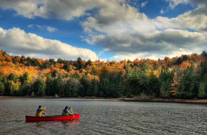 canoe and coloured fall forest