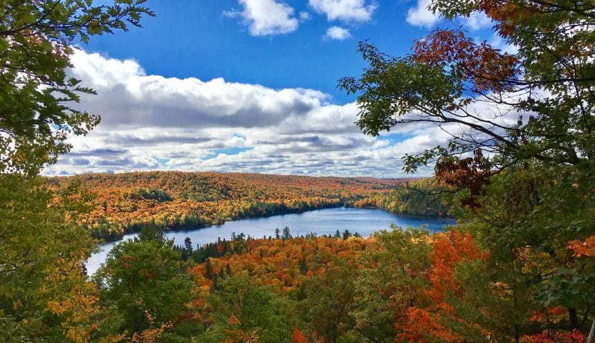 2016 Forest Photo Contest