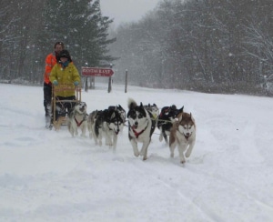 Dog sledding