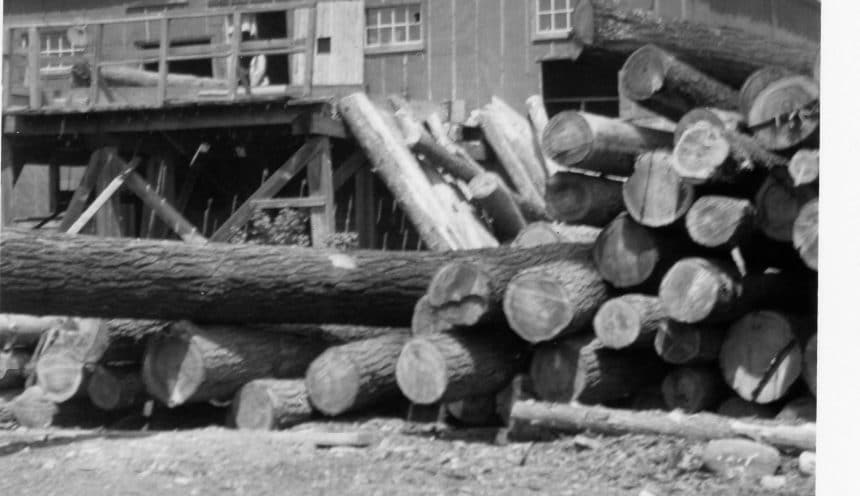 old mill at Haliburton Forest 1