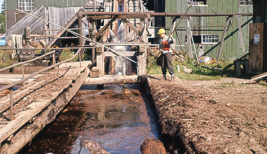 old mill at Haliburton Forest 3