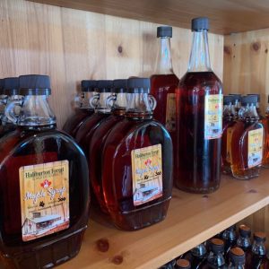 Make Your Own Maple Syrup This Year – Part 1