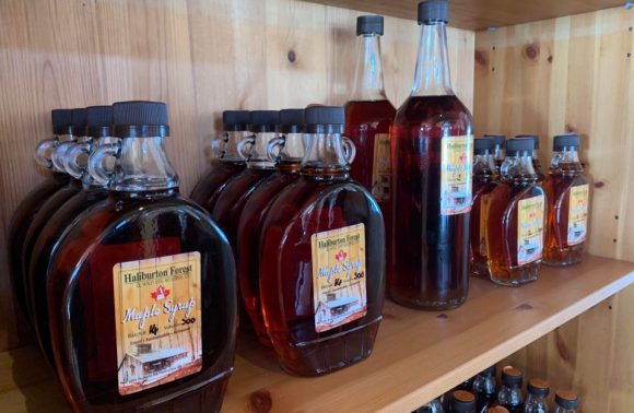 Make Your Own Maple Syrup This Year – Part 1
