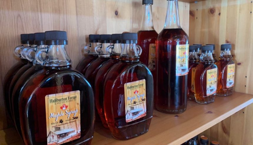Make Your Own Maple Syrup This Year – Part 1