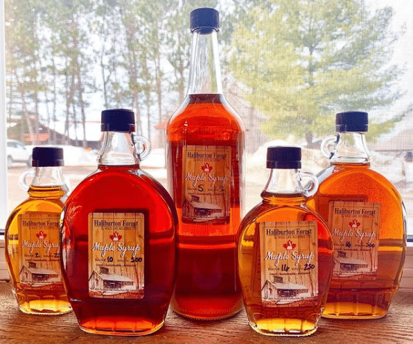 Make Your Own Maple Syrup This Year – Part 3