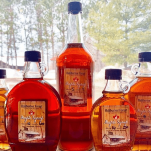 Make Your Own Maple Syrup This Year – Part 3