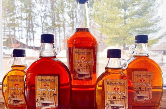 Make Your Own Maple Syrup This Year – Part 3