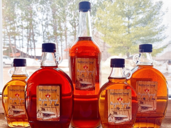 Make Your Own Maple Syrup This Year – Part 3