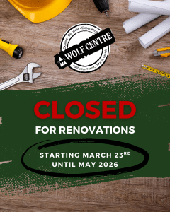 Wolf Centre closed for renovations