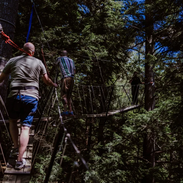 The best part of summer is just around the corner. Don't miss out and join us on a Canopy Tour!

#canopytour #comewander #myhaliburtonhighlands #haliburtonforest #discoveron #forglowinghearts #ontarioshighlands #loveislove #walkinthetrees #epicguidedhike #epicboardwalk #ultimateboardwalk #oldgrowthforest #toweringpines