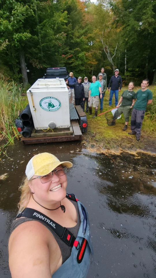 400 Rainbow Trout from a new partnership with the @haliburtonhatchery were put in two of our lakes today @haliburton_forest!

This is just the beginning. More fish to come end of October.

#rainbows #rainbowtrout #haliburtonforest #myhaliburtonhighlands #comewander #discoveron #herefishyfishy #trout #fishstocking